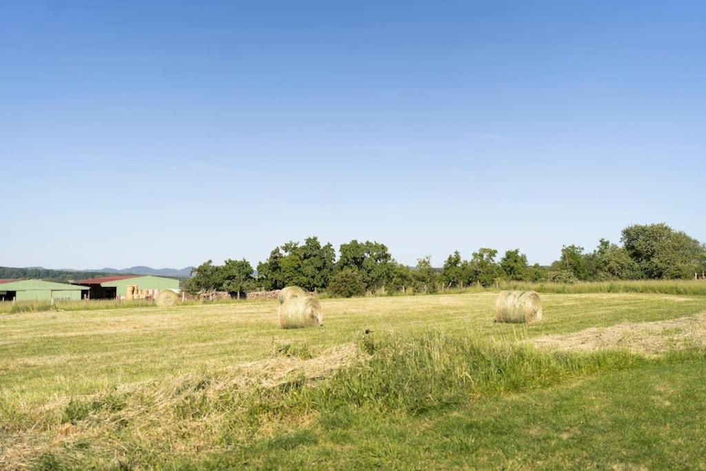 Maison A La Campagne 6 Personnes Zutzendorf Exteriér fotografie